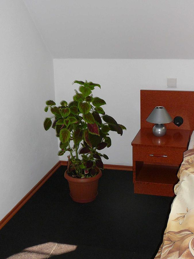 Penzion Praktik Krumlov Přísečná Quarto foto
